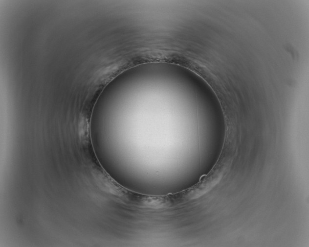 X0000113010624200909031315