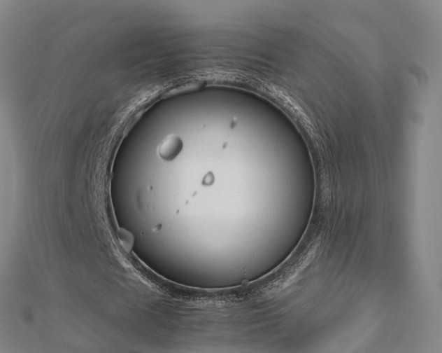 X0000113010625200909031314