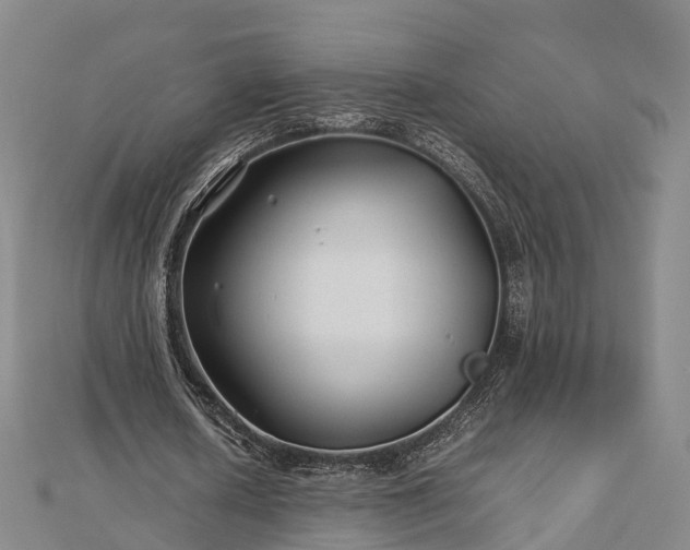 X0000113010626200909031314