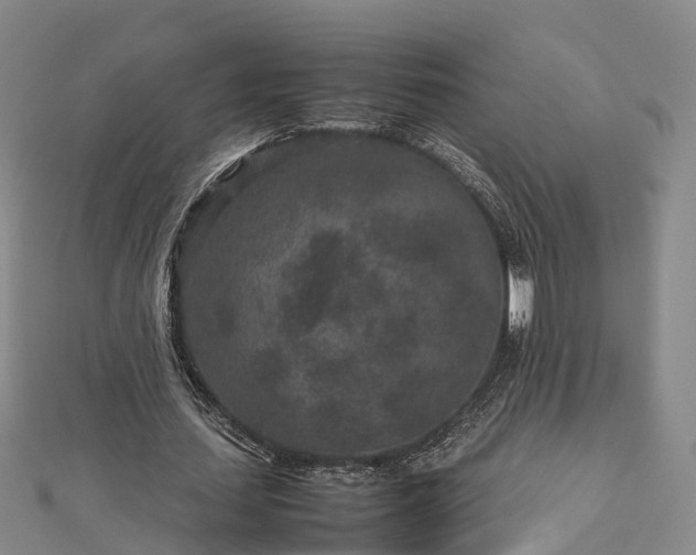 X0000113010627200909031314