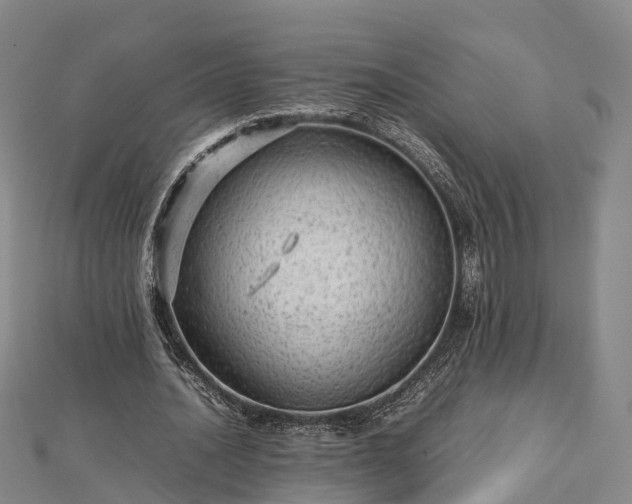 X0000113010628200909031314