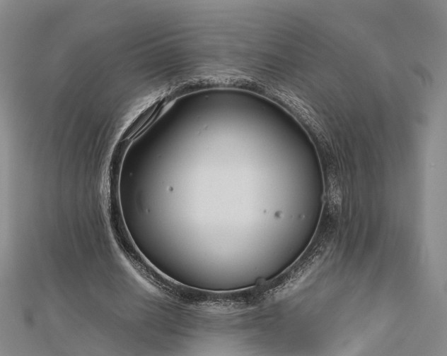 X0000113010630200909031314