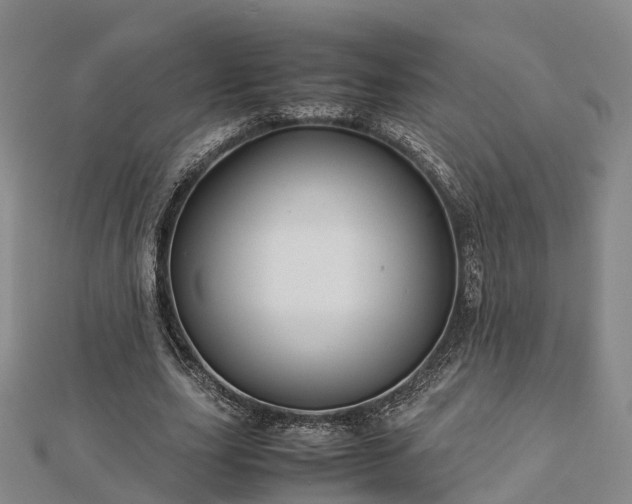 X0000113010631200909031314