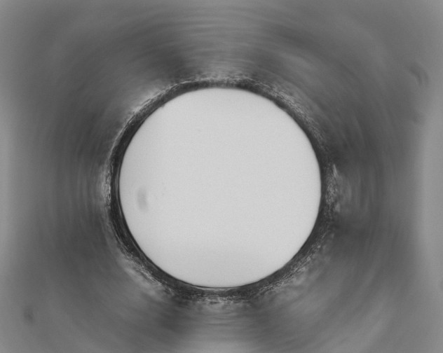 X0000113010632200909031314