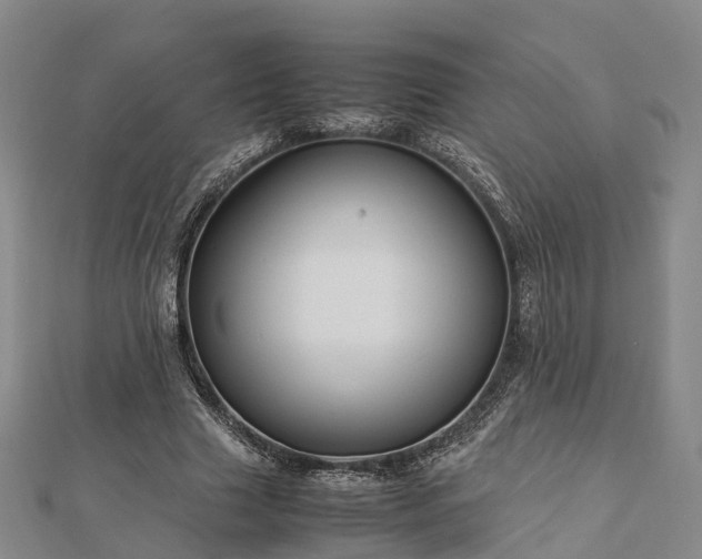 X0000113010633200909031314