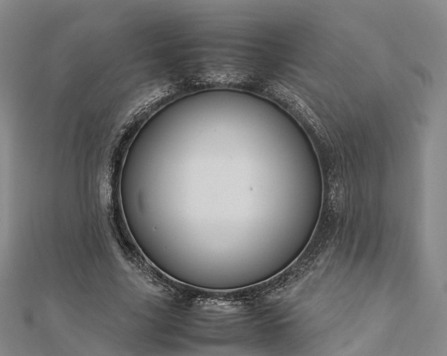 X0000113010635200909031314