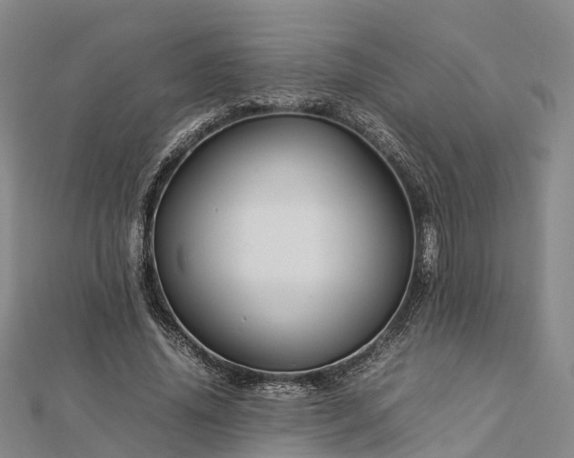 X0000113010636200909031314