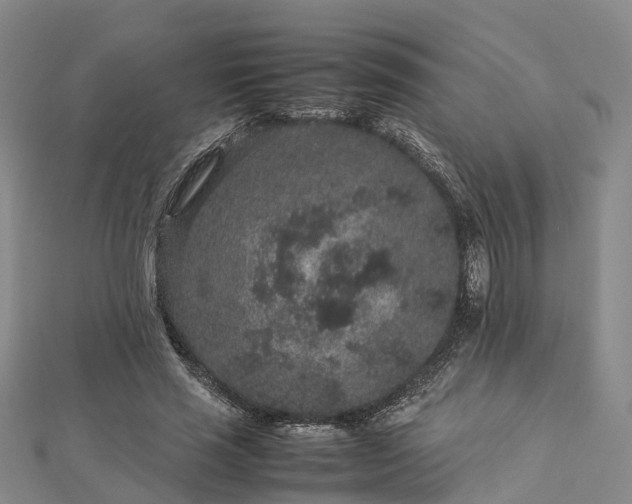 X0000113010637200909031314