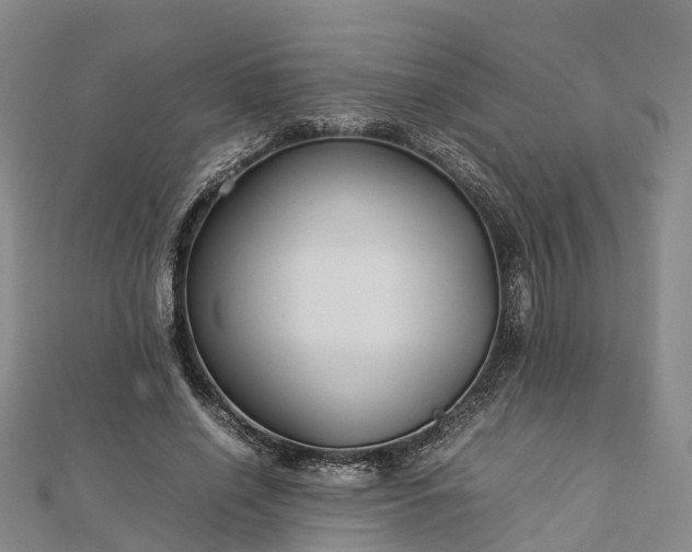 X0000113010638200909031314