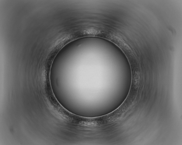 X0000113010639200909031314