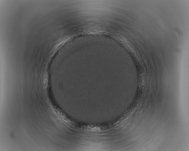 X0000113010640200909031314