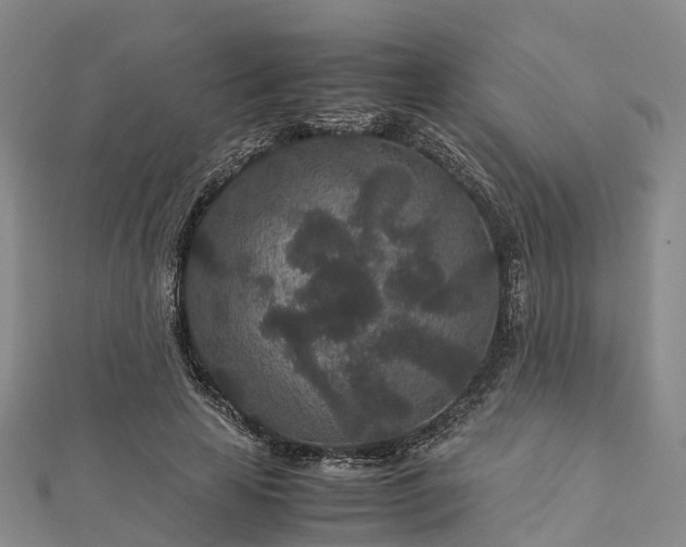 X0000113010641200909031314