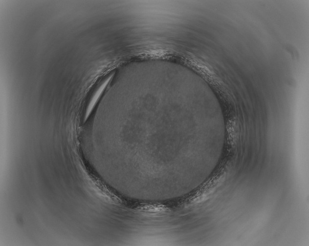 X0000113010642200909031314