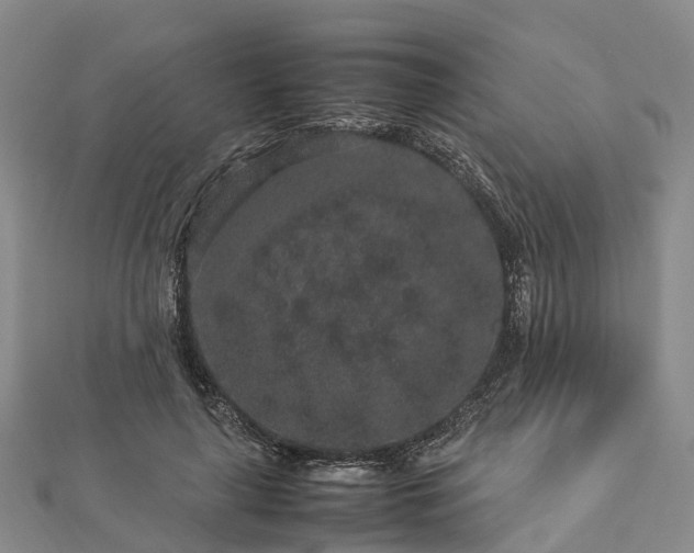 X0000113010643200909031314