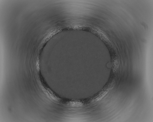 X0000113010644200909031315