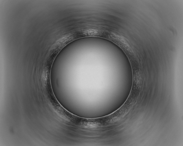 X0000113010645200909031315