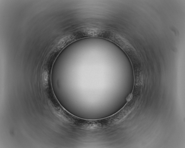 X0000113010646200909031315