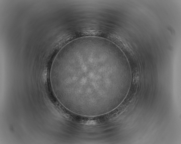 X0000113010647200909031315