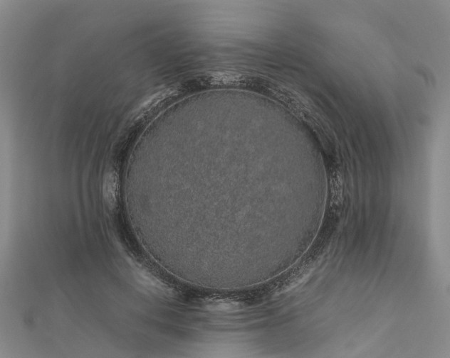 X0000113010648200909031315