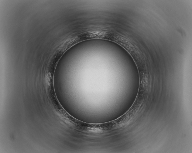 X0000113010649200909031315