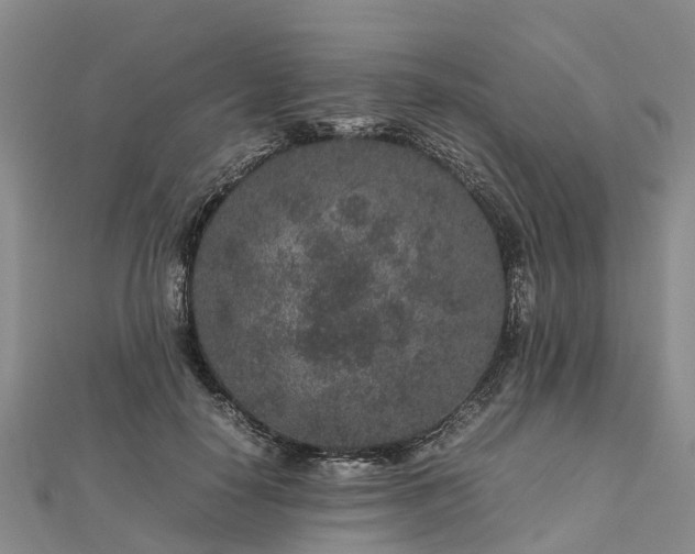 X0000113010650200909031315