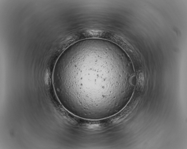 X0000113010651200909031315