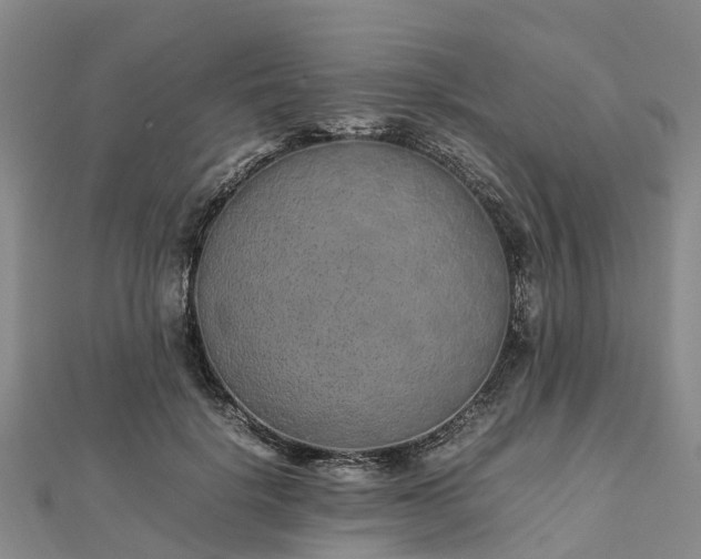 X0000113010652200909031315