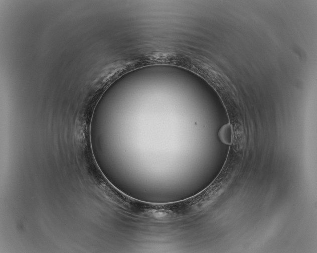 X0000113010654200909031315