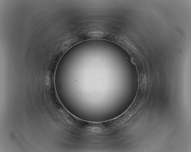 X0000113010655200909031315