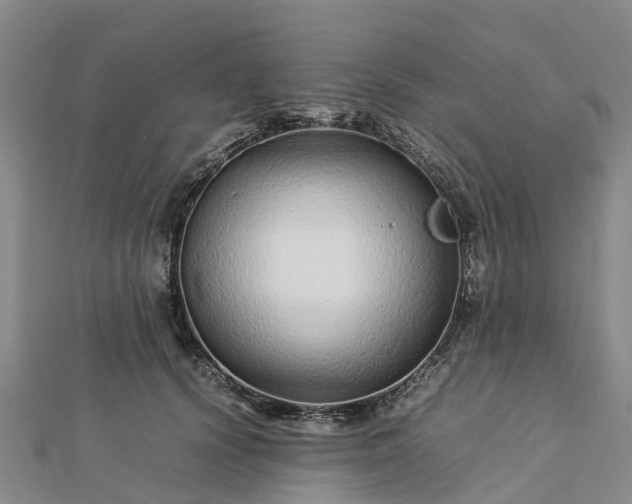 X0000113010656200909031315