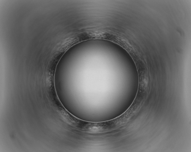 X0000113010658200909031315