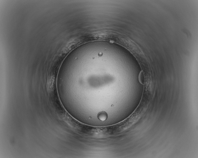 X0000113010660200909031315