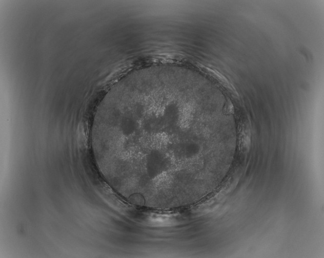 X0000113010661200909031315