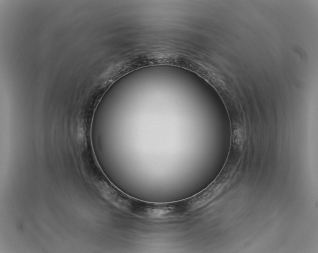 X0000113010662200909031315