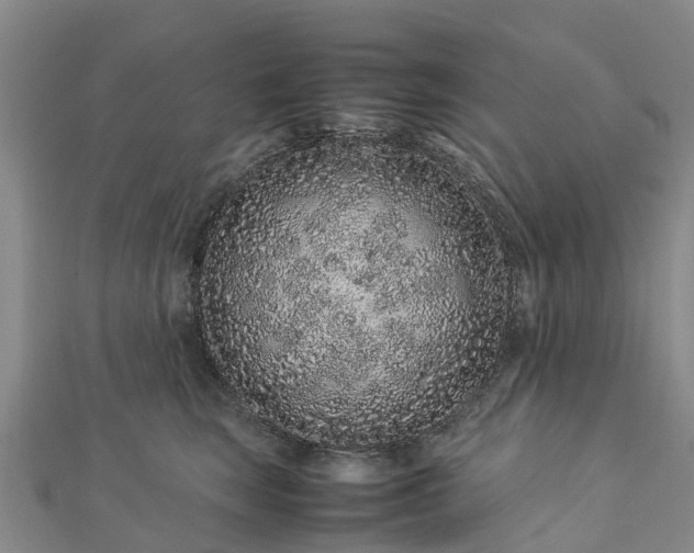 X0000113010663200909031315