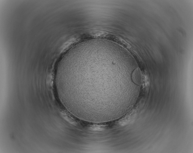 X0000113010664200909031315