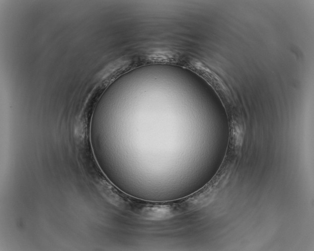 X0000113010665200909031315