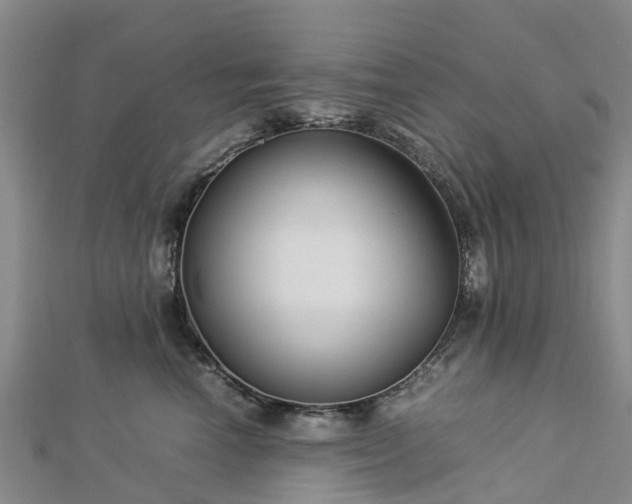 X0000113010666200909031315