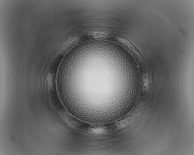 X0000113010667200909031315