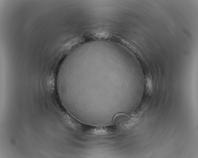 X0000113010668200909031315