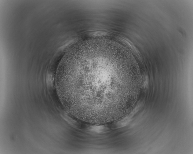 X0000113010669200909031315