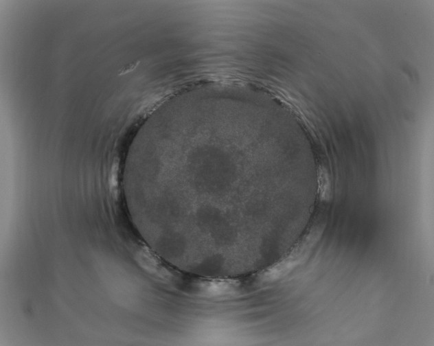 X0000113010670200909031315