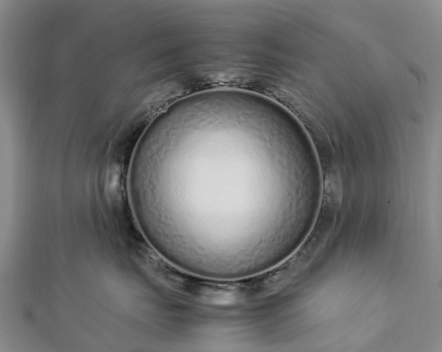 X0000113010671200909031315