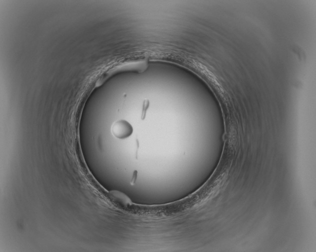 X0000113010673200909031314