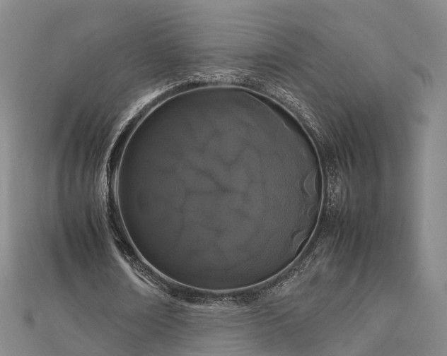 X0000113010674200909031314