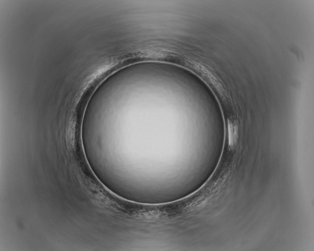 X0000113010675200909031314