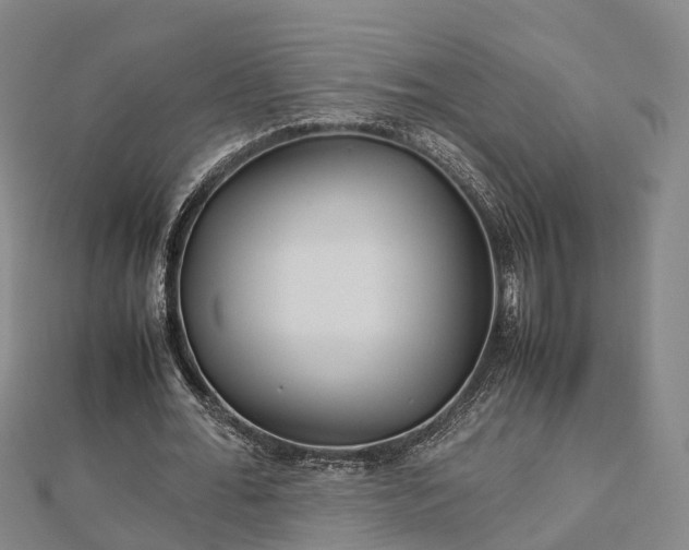 X0000113010676200909031314