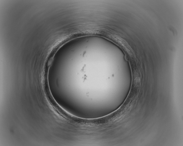 X0000113010677200909031314