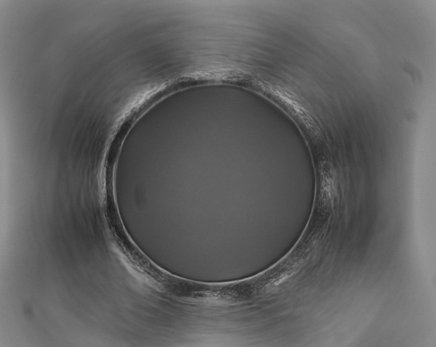 X0000113010678200909031314