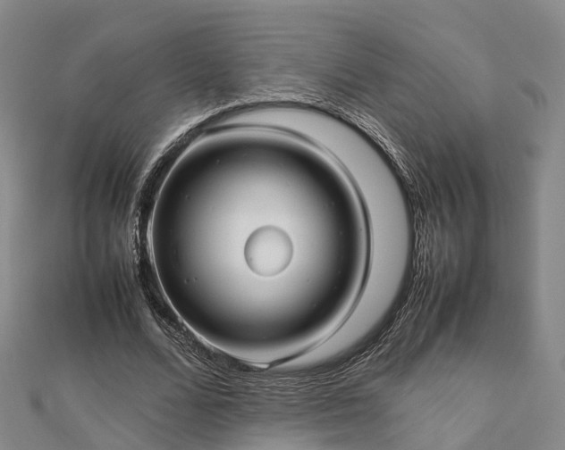 X0000113010680200909031314